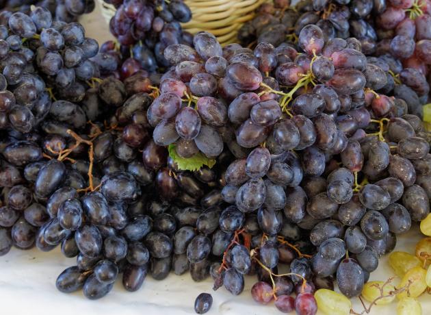 В сентябре в Турции поспевает много фруктов, в том числе и виноград
