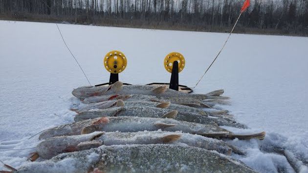 РЫБАЛКА в КАРЕЛИИ! БЕШЕНЫЙ ПЕРВЫЙ ЛЁД!!! ЩУКА на ФЛАЖКИ!