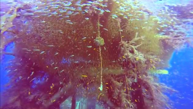 Израиль в апреле: roberts movie the satil    eilat april 5th 2014