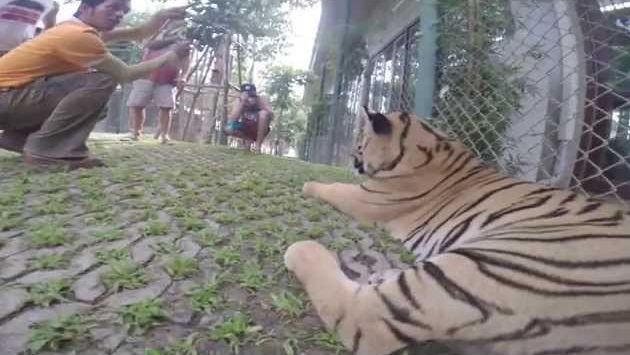 Holiday - Phuket, Thailand 2014