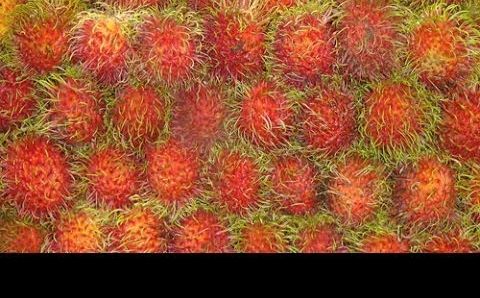 Июль в Паттайе: Паттайя. Фуд Фан Фестиваль. Pattaya. Food Fan Festival