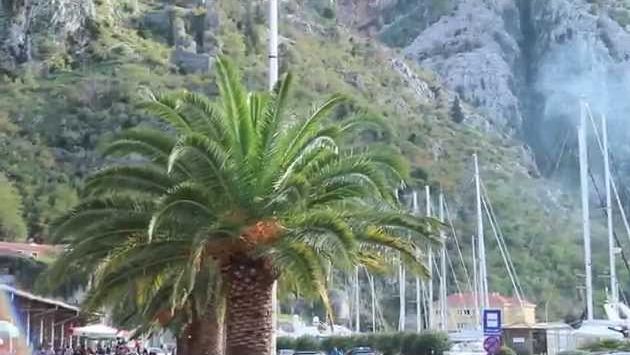 Черногория в октябре: Черногория осенью