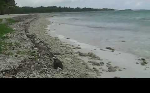 Dominicana Saona май 2012.