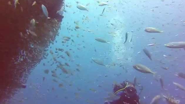 Израиль в мае: scuba diving in  the "satil" eilat  israel 9-5-2014