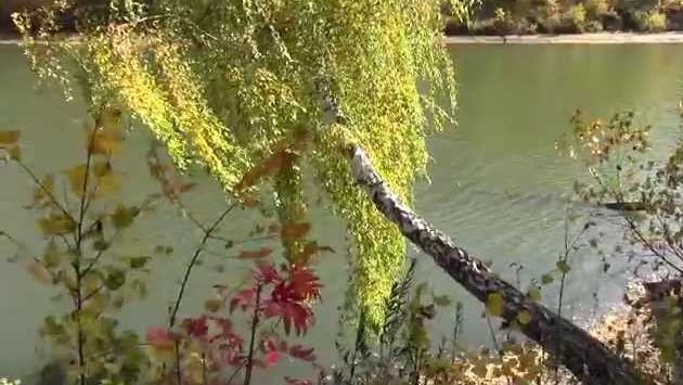 Сентябрь: Осень 2014 в Новосибирске