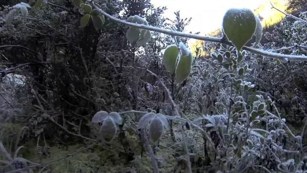 Абхазия, январь 2013