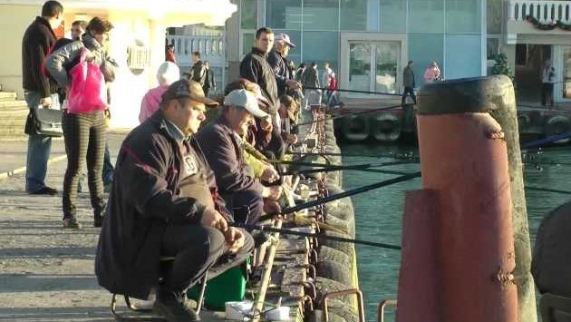 Декабрь в Сочи