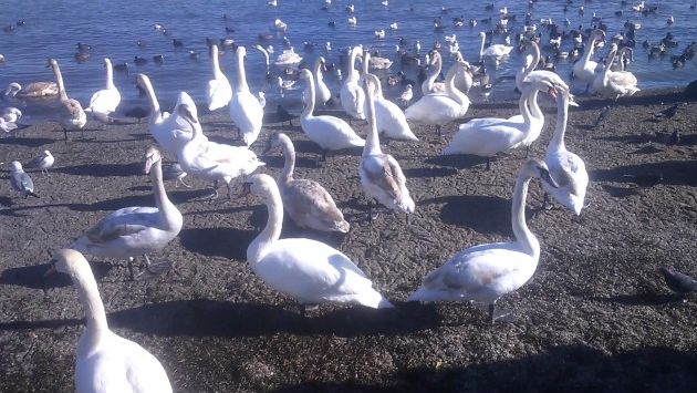 Набережная Феодосии в феврале.