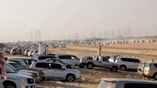 Дубай: Camel Racing!!