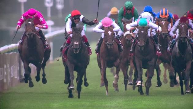Октябрь в Париже: Race Replay: 2015 Qatar Prix de l'Arc de Triomphe, 04-10-15