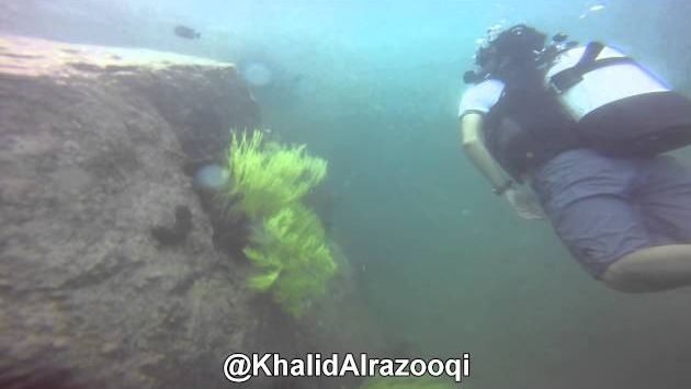 Июнь, ОАЭ: Scuba Diving in Fujairah 27-06-2014