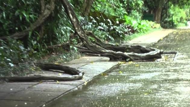 Сентябрь, Шри-Ланка: Beautiful Sri Lanka | September 2013