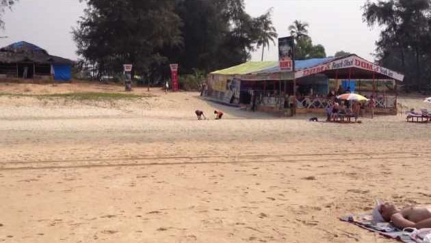 Гоа ноябрь 2012