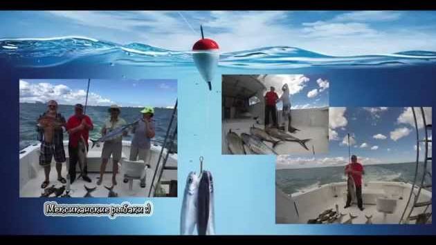 Рыбалка Мексика, январь 2015