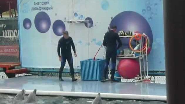 Июль, Анапа: Дельфинарий Большой Утриш