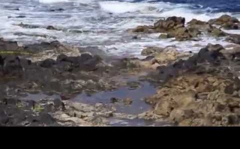 Июнь: MY PLAYA DE LA ARENA June 09-2013