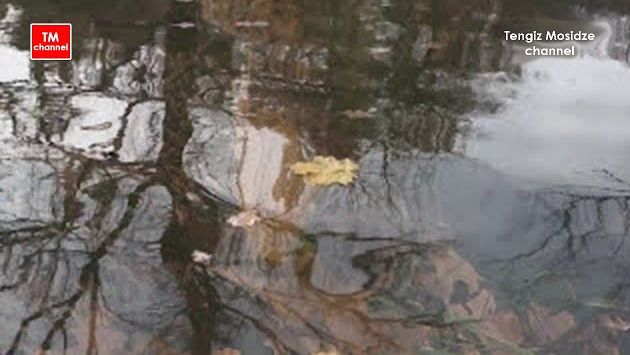 Октябрь: Real Russia. Autumn in Moscow. Park Tsaritsyno. Осень в Москве. Царицынский парк.