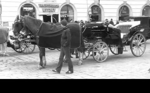 Вена: Iris trip to Vienna Feb 2011