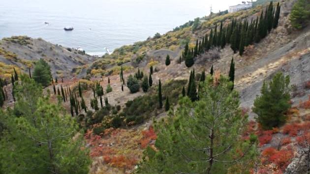 По Крыму в ноябре