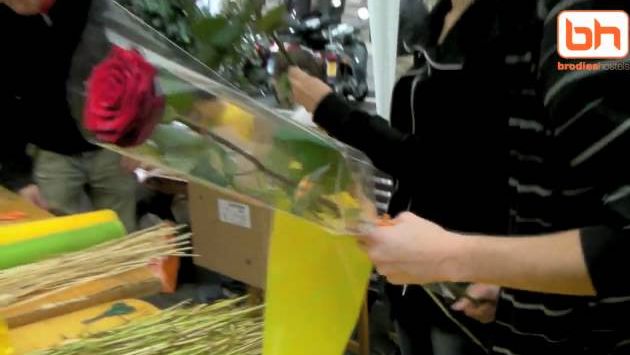 Апрель: Barcelona - Sant Jordi / St. George's Day