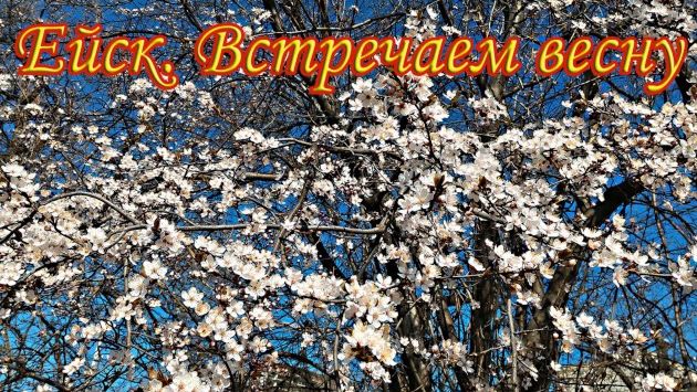 Апрель, Ейск: Ейск. Встречаем весну