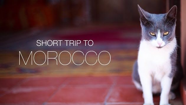 Октябрь в Марокко: Short trip to Morocco