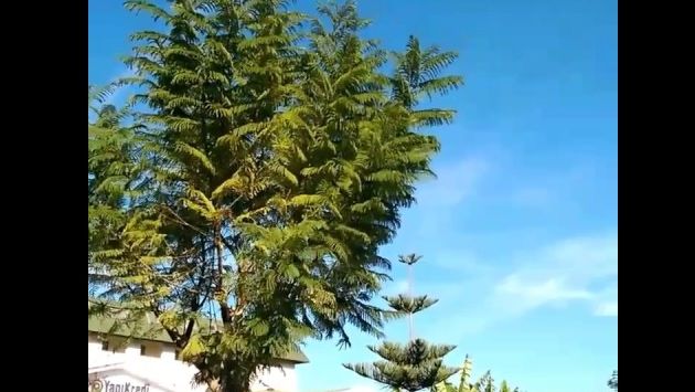 Декабрь.Турция.Кемер