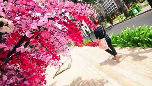 Вьетнам в феврале: Sai gon - Dalat Vietnam Trip