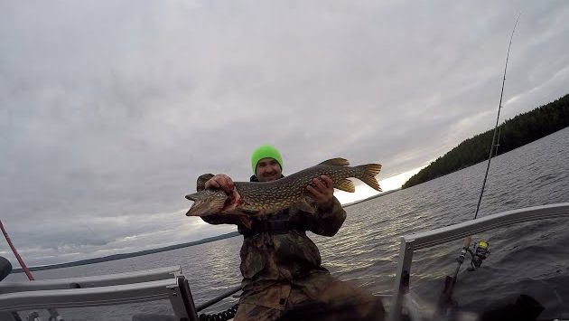 Рыбалка в Карелии .  Пяозеро август. трофейная щука. дикая кумжа.