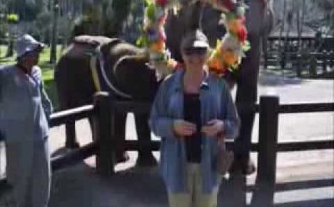 Бали, Май: Our Trip to Bali in May 2013