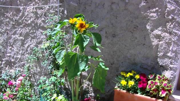 Июль, Сицилия: Sclafani*Bagni, Sicily ~ A Tour With Conte*Marco | 03 July 2011 ~ #   - IMAG0177.AVI