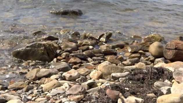 Крабы -море- корабли Туапсе август 2012