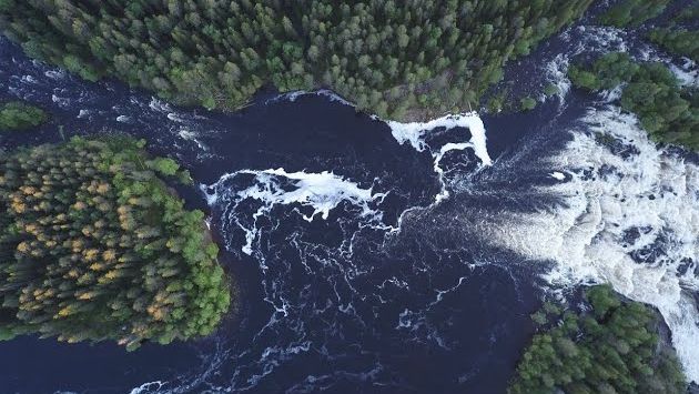 Карелия рыбалка, июнь 2020 Паанаярви