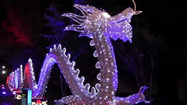 Февраль в Китае: Фестиваль китайских фонариков 29 декабря 2012