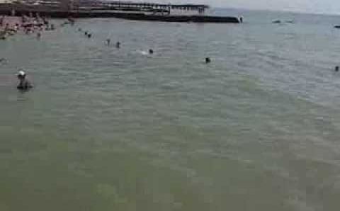 Пляж п.Приморский возле Феодосии в разгар летнего сезона август 2013.