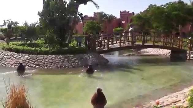 Июнь, Шарм эль Шейх: Египет 2014. Sea Club Resort.