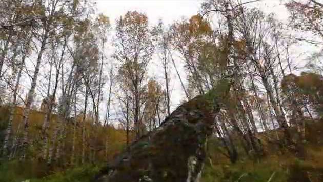 Октябрь в Красноярске: Красноярск. Базаиха. Осень 2015.