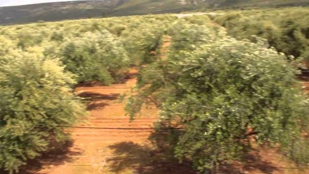 Апрель: Greece 2014 !!