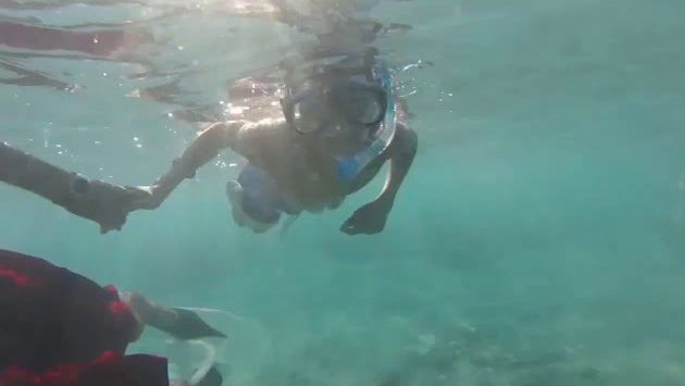 Шарм эль Шейх 2020. Август.  Дневная жара. Немного об отелях. Наши питомцы)))