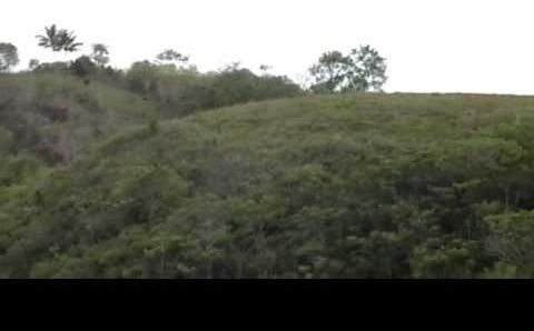 Филиппины, Январь: Bohol's Chocolate Hills 2010