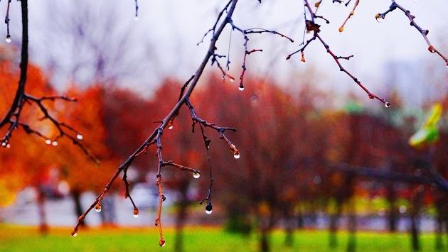 Сентябрь: Осень... Мокрый Екатеринбург