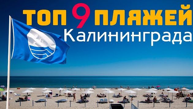 Август в Калининграде: Лучшие пляжи Калининградской области