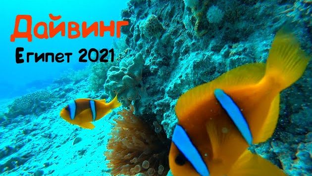 Египет 2021. Дайвинг в декабре. Рас Мохаммед Яхта.