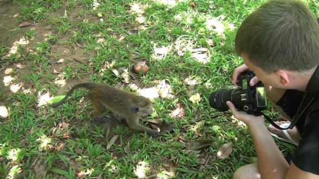 Шри Ланка - Пиннавела, Перадения, Сигирия (Октябрь 2013)
