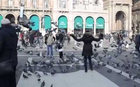 Групповая поездка в Милан  Январь, 2014