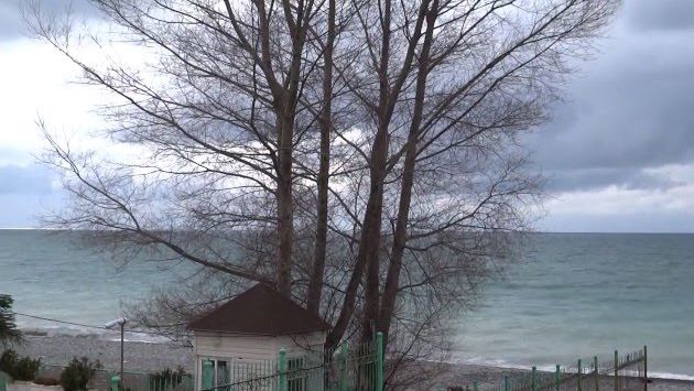 Это просто февраль! Погода в Лазаревском 21 февраля 2016