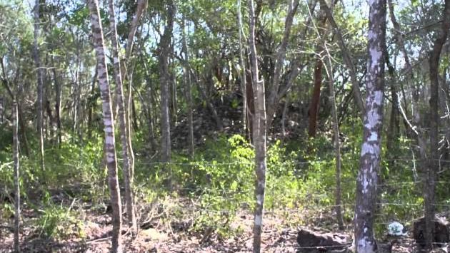 мексика Чичен-Ица март 2013