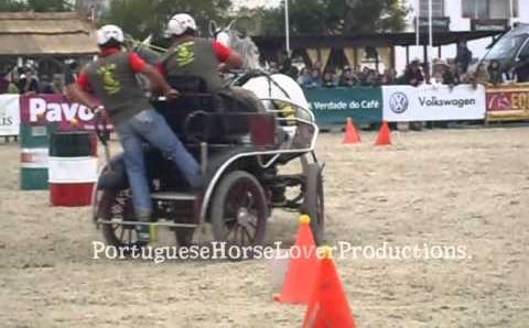 Ноябрь в Португалии: Feira Nacional do Cavalo, Golegã - 2010