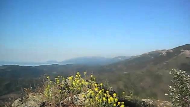 Крым, Май: Крымский Эдельвейс над перевалом Кок-Асан Богаз