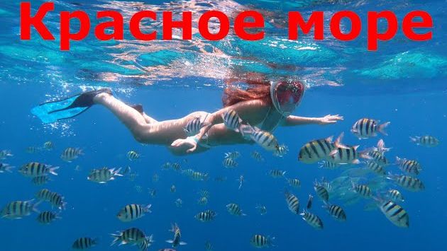 Красное море, Египет, Шарм-Эль-Шейх, август 2020